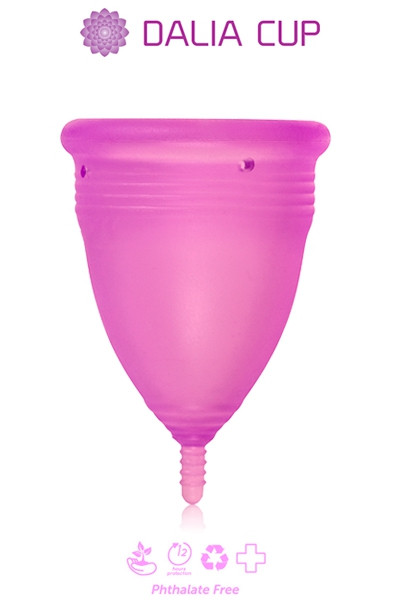Dalia Cup 